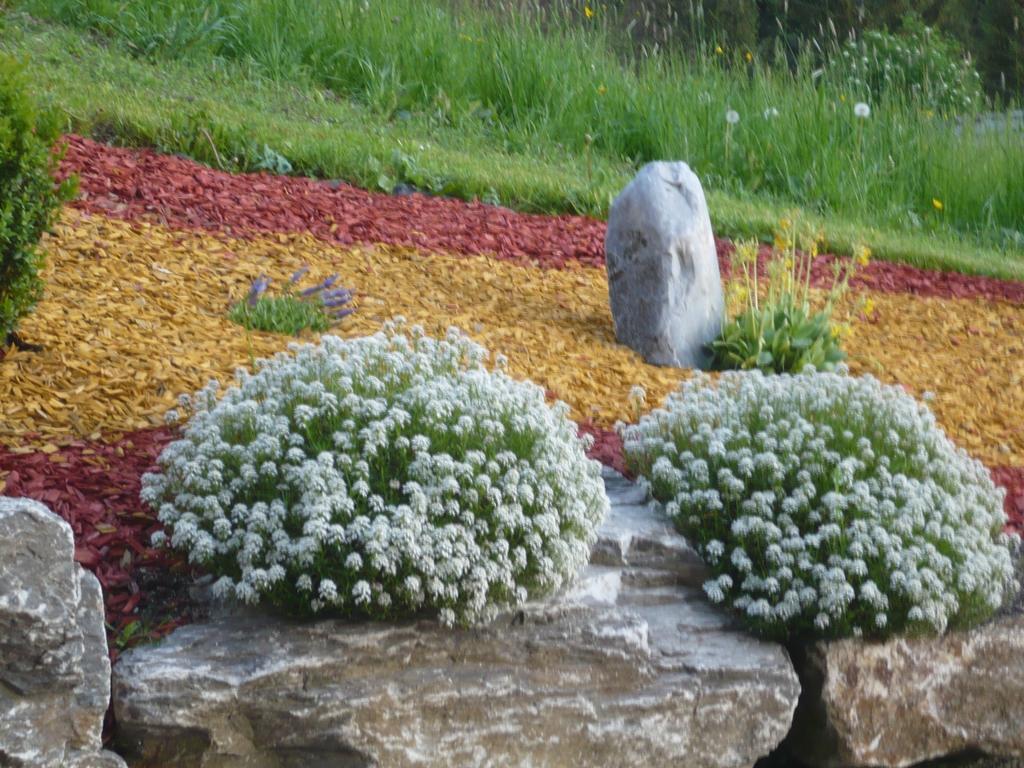 Апартаменти Oberstockerhof Санкт-Йоганн-ім-Понгау Екстер'єр фото